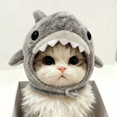 ornrice_'s profile picture. @AngelssBecky 🧚‍♀️#beckysangels #ฟรีนเบค @nurdesoraya 🐬 #nurdesoraya #TKNur #แตงกวาเหนือ