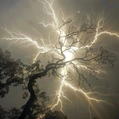 deadeath_'s profile picture. Taking flirting with death a little too seriously.
any pronouns 17+ || admin: @maxrowave
#dateeverythingoc