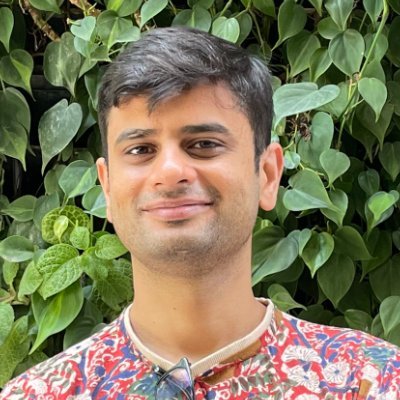 paraschopra's profile picture. life is a game 🕹️ •  building @lossfunk