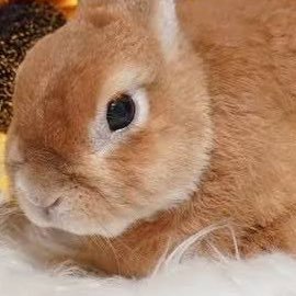 mmmeight0901's profile picture. 