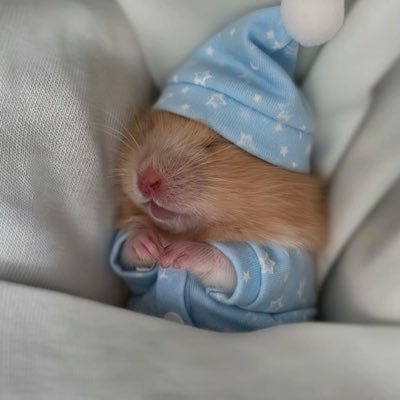 Valentica_M's profile picture. MarcNatarit 🏀🫶