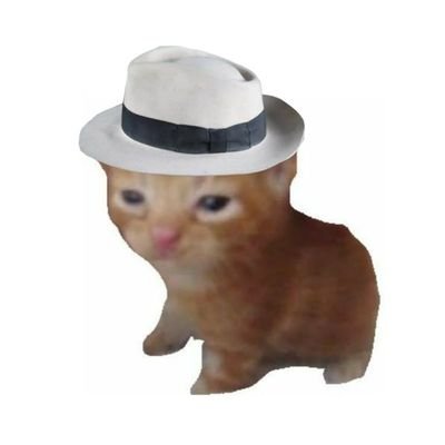 anbelibebell's profile picture. make up enthu, love myself 24/7.