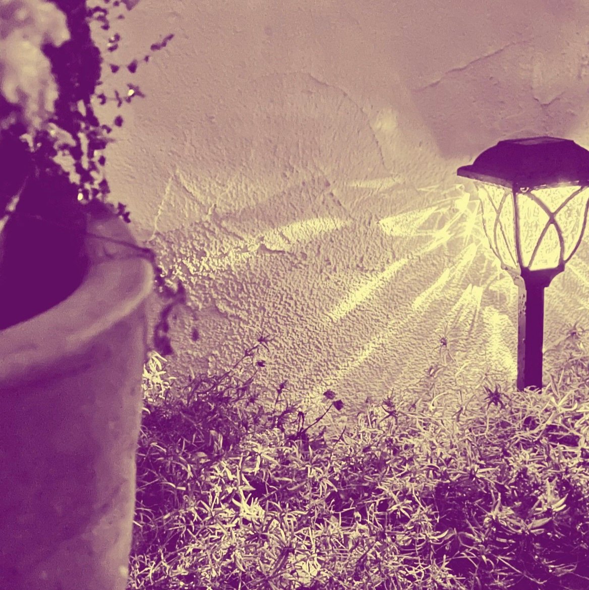 MIZ_HIRANO_2's profile picture. M3 2B