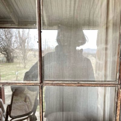 separatedstars's profile picture. 