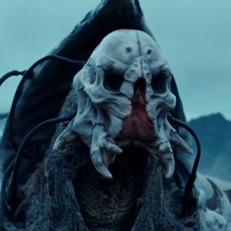 volta_cals's profile picture. @fossora_cals