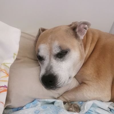 MiryiJ's profile picture. Vive la vida vive que se va y no vuelve!!!