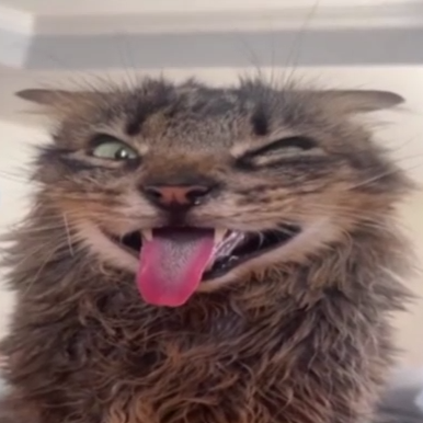 uwexyo's profile picture. 