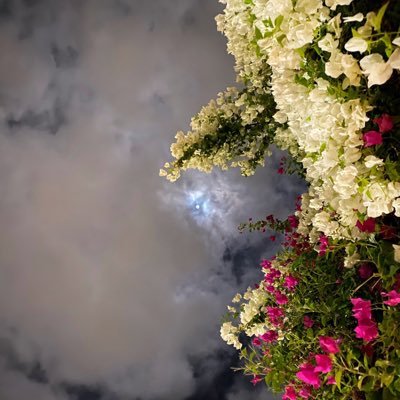 ItzzNada's profile picture. 