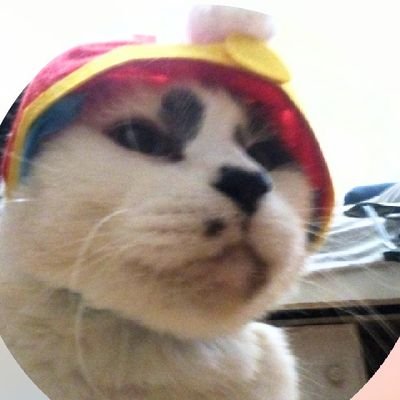 Nepsskiii's profile picture.