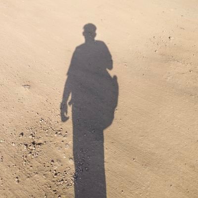 son_papdi_lover's profile picture. if I followed you , it means I want you in my bed