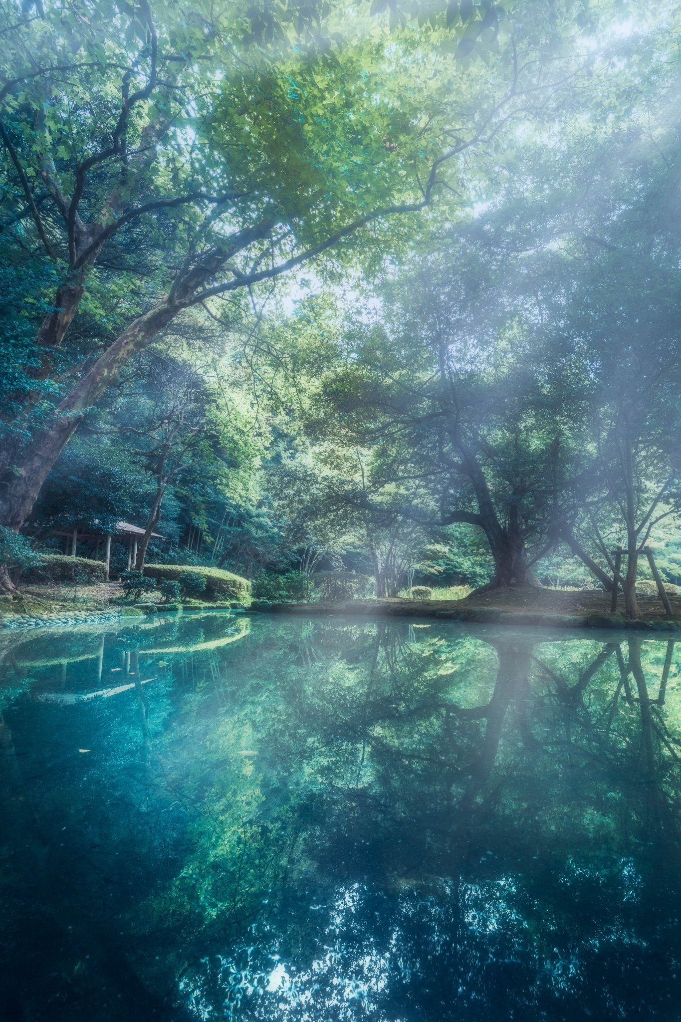 cuurtxo's profile picture. 寝すぎて怒られた女です🤦‍♀️🪦