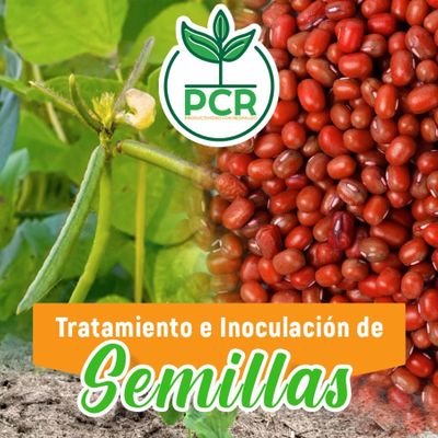 Rondon22Carlos's profile picture. Servicio de Tratamiento Profesional de Semillas