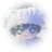 mobkonanoda's profile image