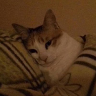 lim2Iim's profile picture. 