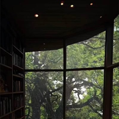 edad______1__'s profile picture. 