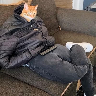 ojikinojp's profile picture.