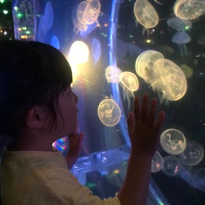 e333mry's profile picture. 11月からFamm WEBデザイン受講します🌼未経験ですが、しっかり学んでスキルを身につけていきたいです！卒業生、受講生の方々と繋がれたら嬉しいです😊よろしくお願いします🐣  /👦🏻7👧🏻4👶🏻2/X初心者🔰