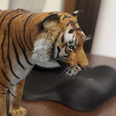 misatototo0804's profile picture.