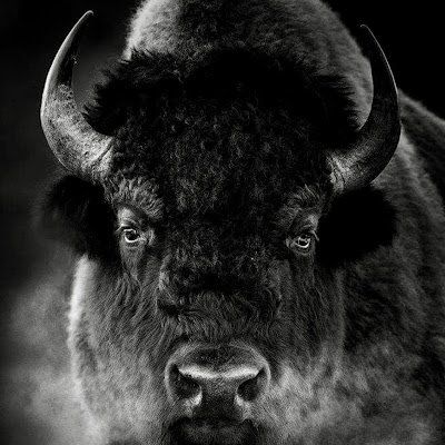 GregLang6705's profile picture.