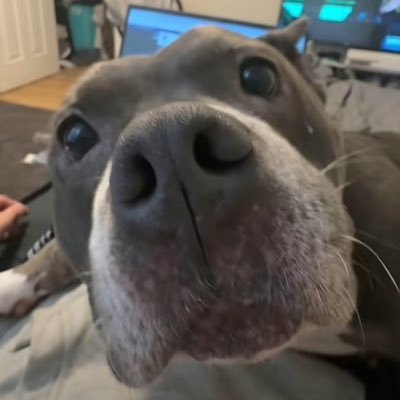 Superstar2906's profile picture. haha made you look