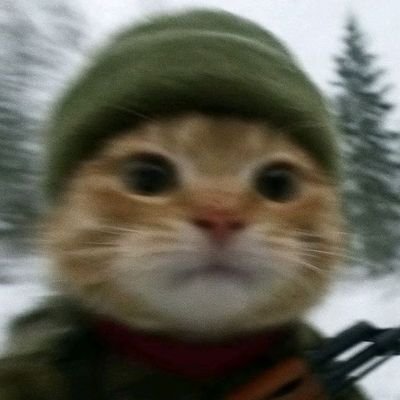 techstarfuture's profile picture.