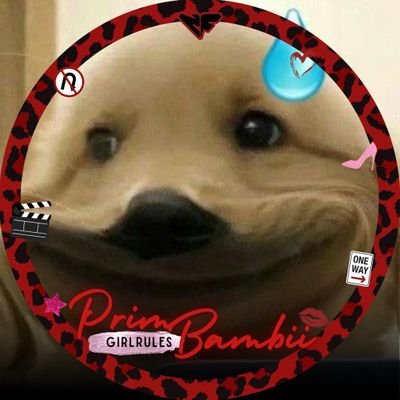 jadespdy's profile picture. ♡ namtanfilm
♡ gmmtv 🩵💛