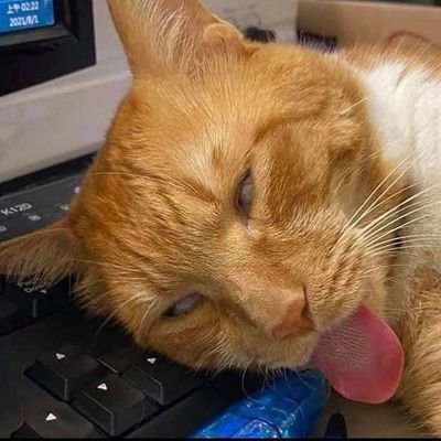 xigmaverick's profile picture. Financial Markets, Startup, Marketing, Tech, and Memes.