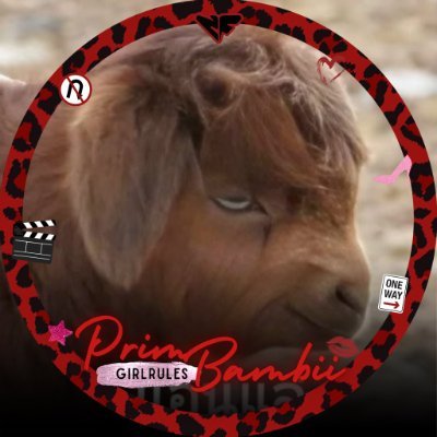 Jaa_0114's profile picture. ที่นี่เราปกครองด้วยระบอบรชานันท์ธิปไตย อันมีน้ำตาลฟิล์มเป็นแก้วตาดวงใจ ||🤍❤️‍🩹🩵💛|| i pluto u ☁️☄️💫✨🌕☁️