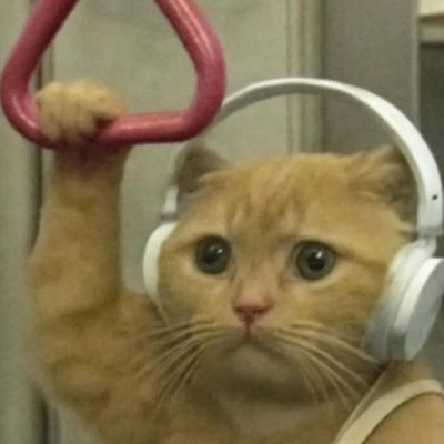 Hiphopppp13's profile picture.