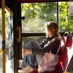 Ywerea8243304's profile picture. 