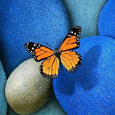 darksouuur's profile picture. ◎2017末〜仮想通貨、投資信託 開始◎2022〜日米個別株 ◎現在はレバレッジETFとオプション(銘柄問わず) シルバー現物