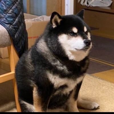 chi_nguyen2716's profile picture.