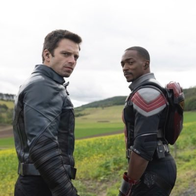 HP_anaguma's profile picture. 地雷は自衛