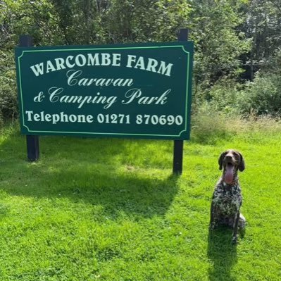 WarcombeP's profile picture. Fabulous family & dog friendly Devon campsite . Sea views & fishing lake.  Close to award winning surf beaches of Woolacombe.
 Book online or call 01271 870690