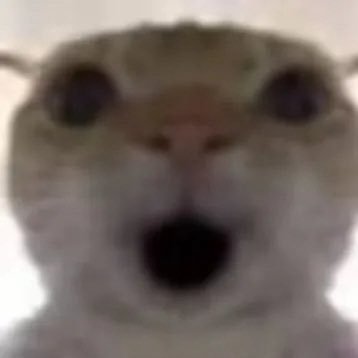 Tsyinsheng_'s profile picture. @chinaikuangmo 接投稿 盒岛：27024W