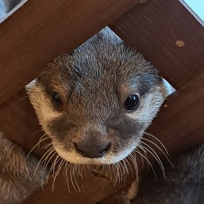 TakaoKimura3's profile picture. 邦ロック、お酒が好き。仕事はモバイルアプリの開発。