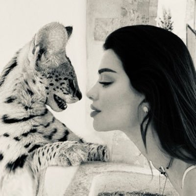 X4Wild's profile picture. on top of the world