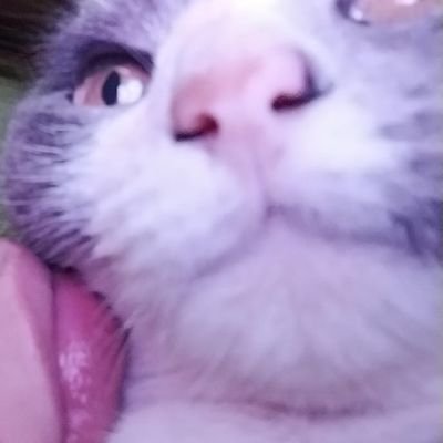 ESdSOFIAb's profile picture. 