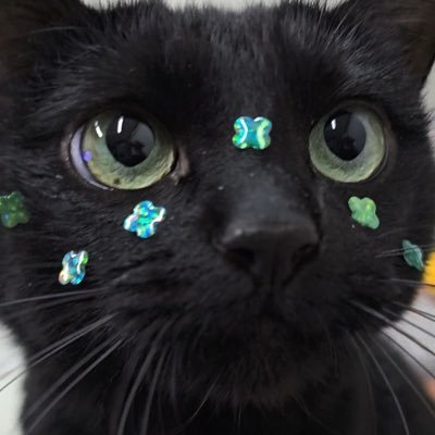 dal08913247's profile picture. 잡식 / 기록 겸 / 번역 글