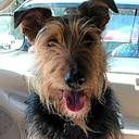 Gregory Bader - @AllezDaddy - Twitter