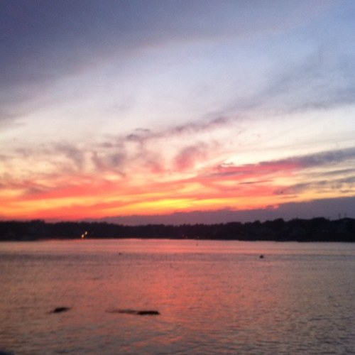 SamGray44's profile picture. 