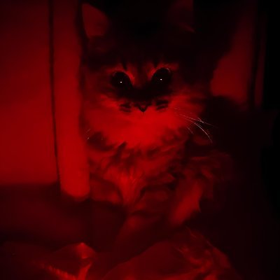 TheBitterCoffee's profile picture. Desenho as vezes (quase nunca)
🏳️‍⚧️