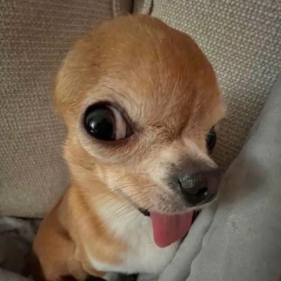 phh235's profile picture. #Nitrograph
#CrunchieOG
#NamsoNetwork