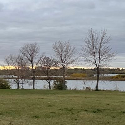 zutterzutterhel's profile picture. 