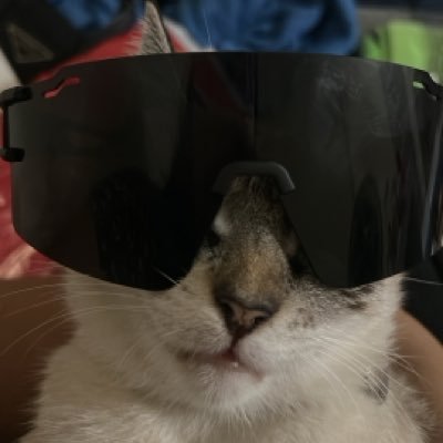 nabrys4's profile picture. louca pelo maior do NE, Sport Club do Recife.