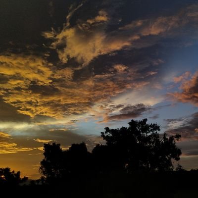 Naturelover334's profile picture. Enjoy life