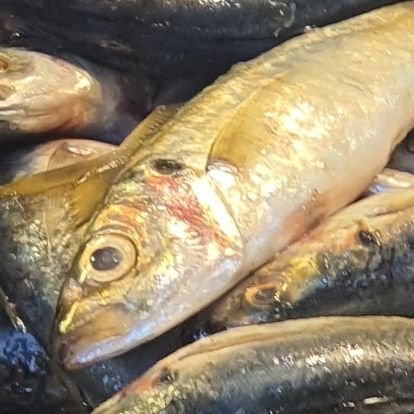 cuttheshrill's profile picture. இன்று நமது.நாளை யார் கண்டால். block. just here to sail through the insanity of humanity called information. BAN NEWS.