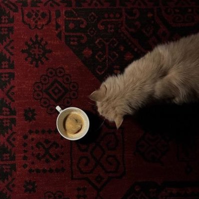 doa4CS's profile picture. CS @TaifUniversity 446 | Design Committee @RoboticsEngClub 🦾 | Personal Account 🧠