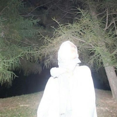 ilykotomi's profile picture. +++ itamigarden