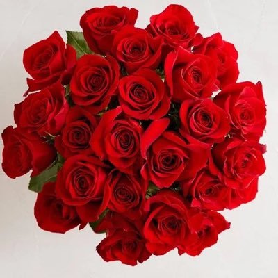 DianaJanette0's profile picture. ✨proud mom|